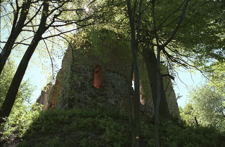 Zamki_ ruiny - Nowy_Jasiniec_castle_ruiny.jpg