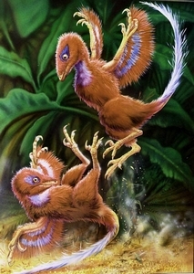d - dromaeosaurou.jpg