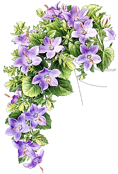 kwiaty - fleur191.gif