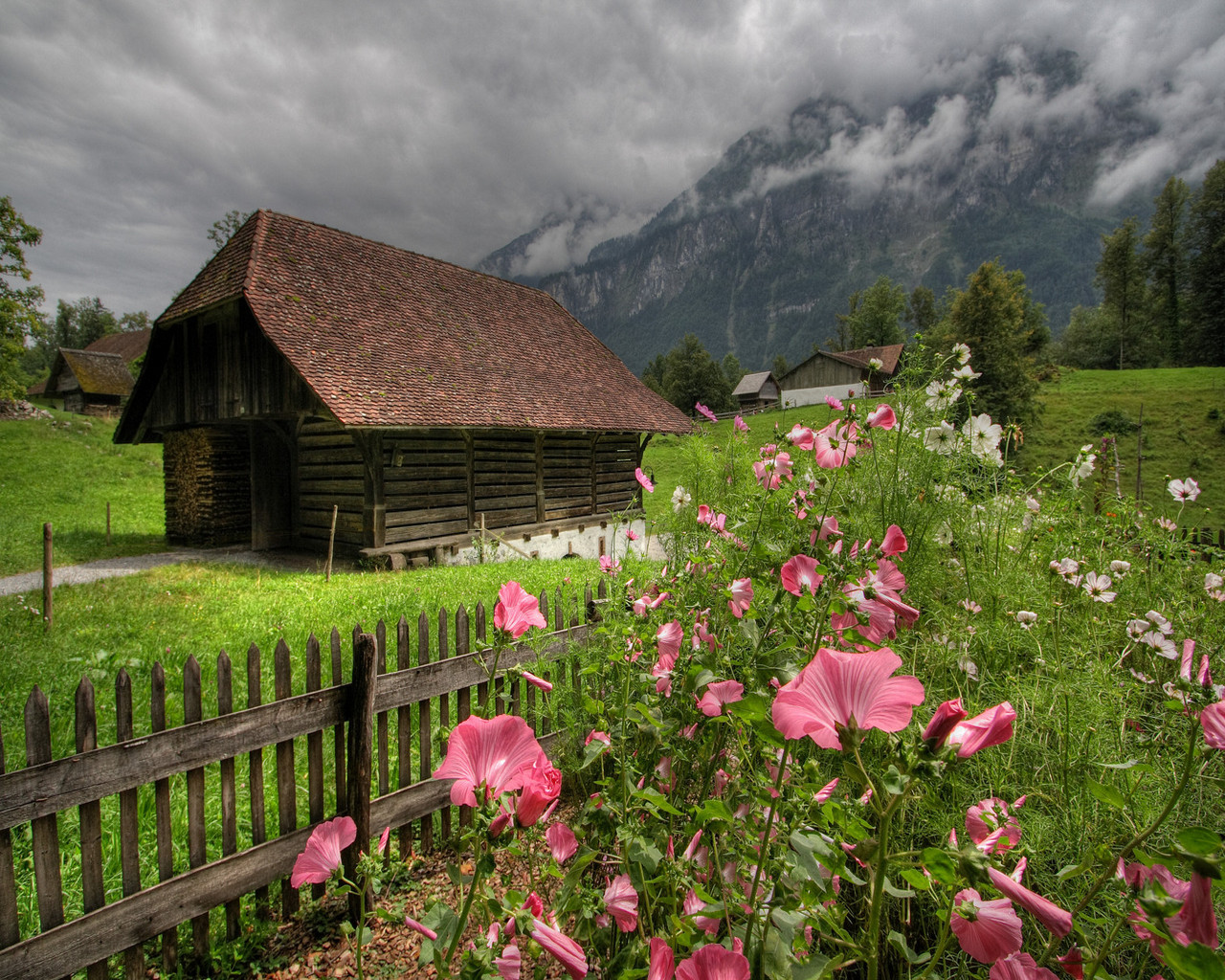 WIEŚ 1 - alpine-garden.jpg