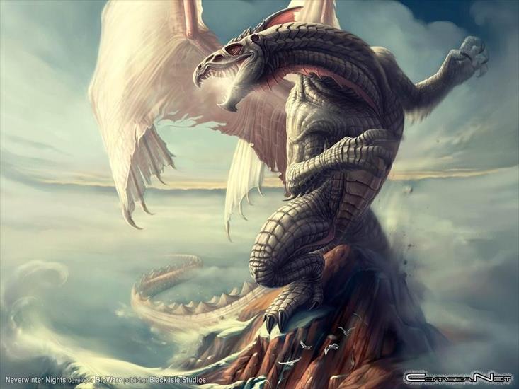 fantasy - Dragon_005.jpg