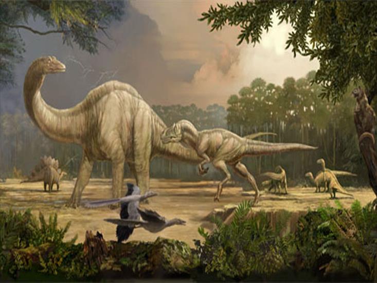 Dinozaury - 29.bmp