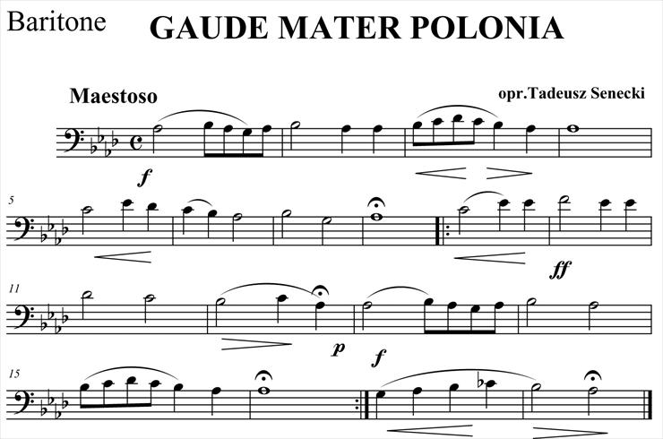 Gaude mater polonia glosy - Finale 2006 - baryton.jpg