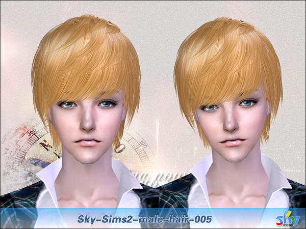 Sky Sims - Sky_Sims2_M_hair-005.jpg