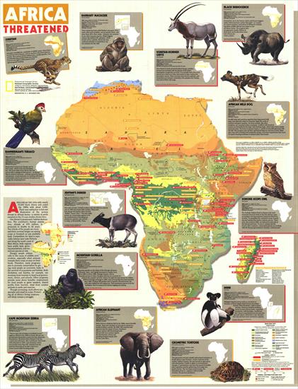 National Geografic - Mapy - Africa Threatened 1990.jpg