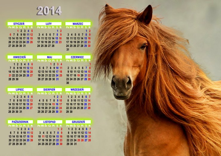  KALENDARZE 2014  - Calendar 2014.png
