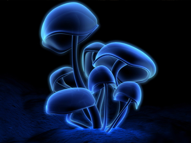 Tapety 640x480 cz1 - blue-mushrooms.jpg