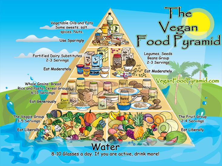 Vegetarianizm i  nie tylko - vegan-pyramid-1024x768.jpg
