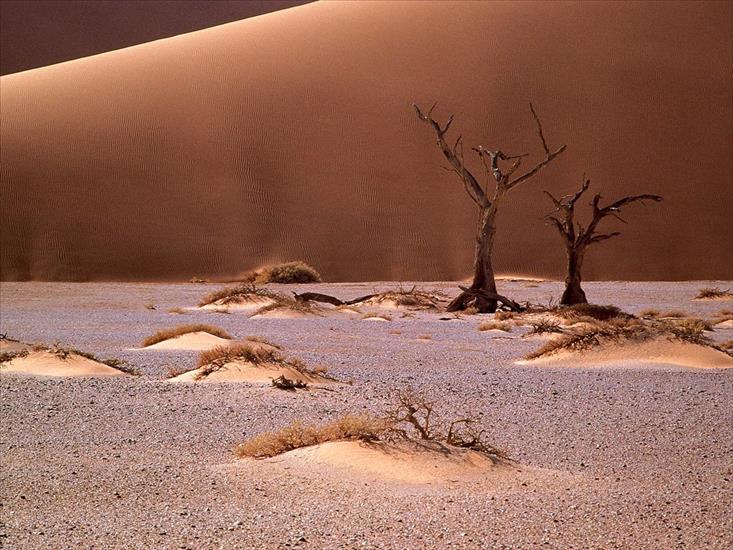 Deserts - Deserts 21.jpg