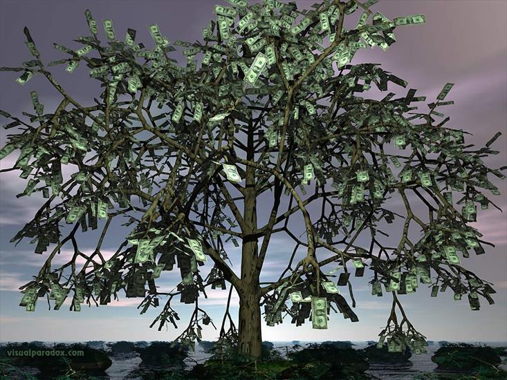 Ciekawe drzewa - moneytree.jpg