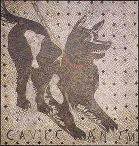 1.1.8. Starożytny Rzym - Mozaika Cave Canem.JPG