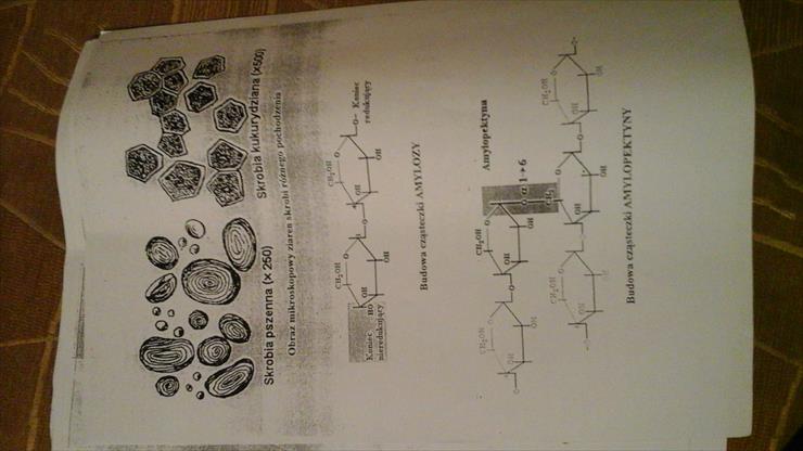 Biochemia dokumenty od Krauze - 20150309_180925.jpg