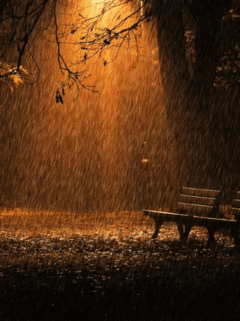 emilka73 - jesień w deszczu.gif