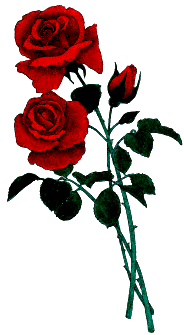 Gify Róże - kwiat1_1_.gif