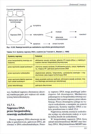 rozdział 15 - 303.jpg