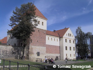 Zamki w Polsce - gliwice_zameks.jpg