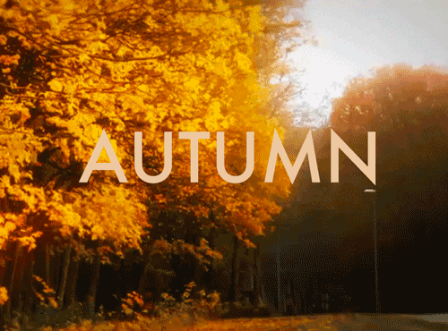 autumn - tumblr-ma1rc9wFEQ1rqpovto1-500-8506-1379065078.gif
