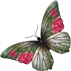 Motyle - 742615441.gif