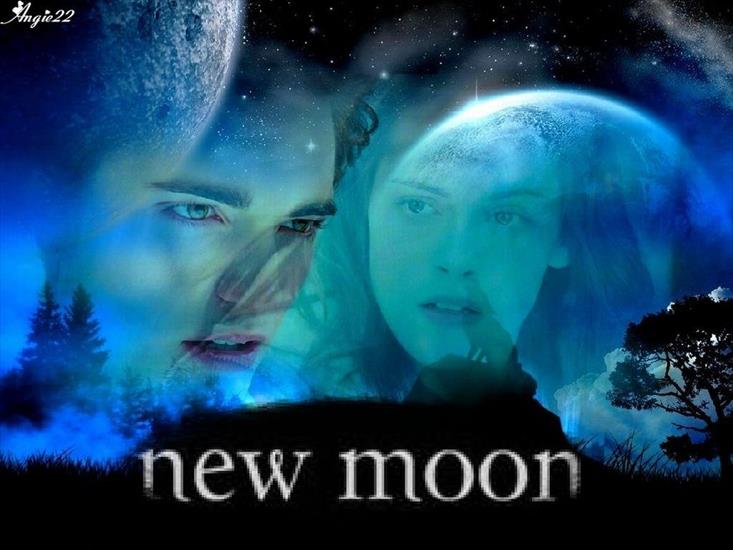 Saga Zmierzch - New-Moon-new-moon-3150729-1024-768.jpg