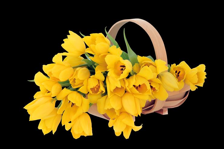 100-Flowers - Yellow-Tulips-inBasket.png