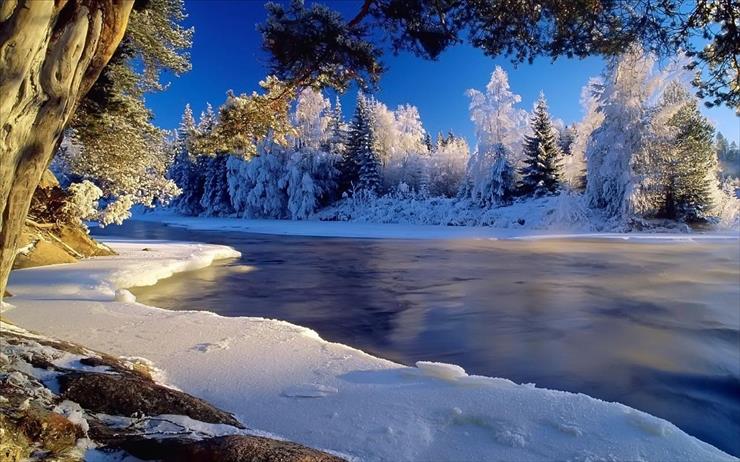 ALBUM NATIONAL GEOGRAPHIC - wide_winter_wallpapers__13_-1260951649.jpg