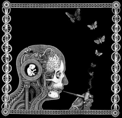 Soen - Cognitive 2012 dreamther - cover.jpg