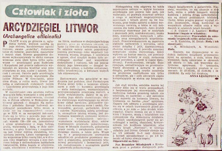 ZIOŁOLECZNICTWO1 - Arcydzięgiel litwor1.JPG