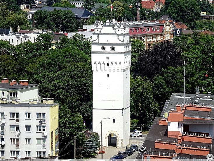 Wieża Wrocławska Wieża Bramy Wrocławskiej, Biała Wieża - 2018-06-25_DSC00539_Portal_zachodni_Nysa_7360049.jpg