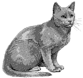 Grey Cat Linux 3.0.mht_files - greycat2.gif