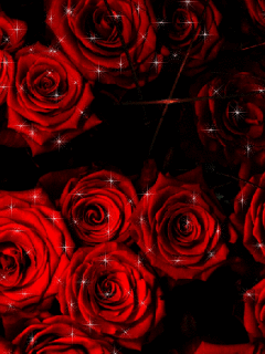 róże czerwone 2 - 0179_778.gif