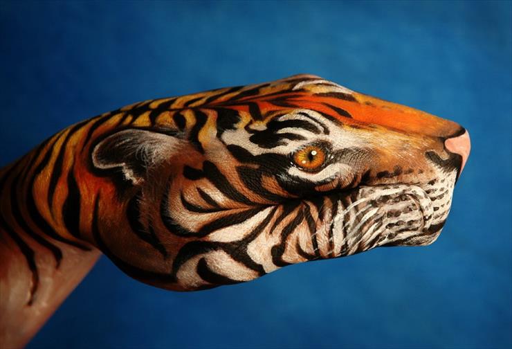 Dłonie - tigre.jpg