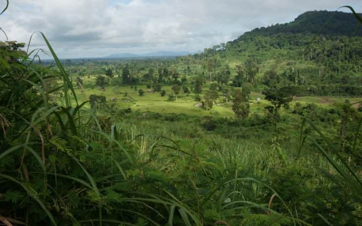 Landscape - green-nature-widescreen-landscape-wallpaper-jungle-cambodia-115679.jpg