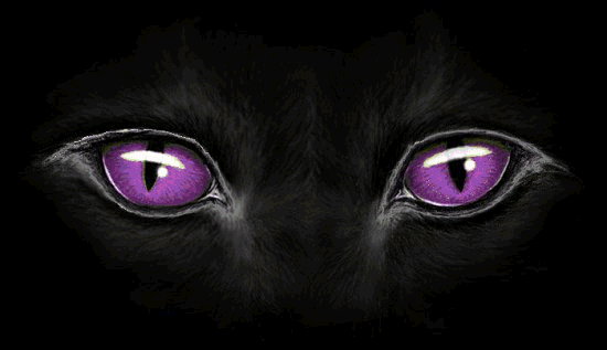abstrakcja - cat-eyes-purple-ball.gif