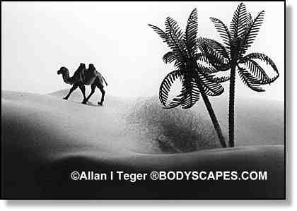 ALLAN_TEGER_BODYSCAPES_ - 400camelandoasis.jpg