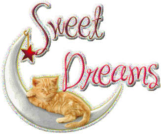 Dobrej Nocy i dobranoc - słodkich snów z kotkiem.gif