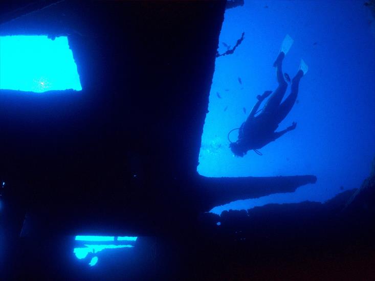 Morskie - Cartenser Wreck, Virgin Islands.jpg